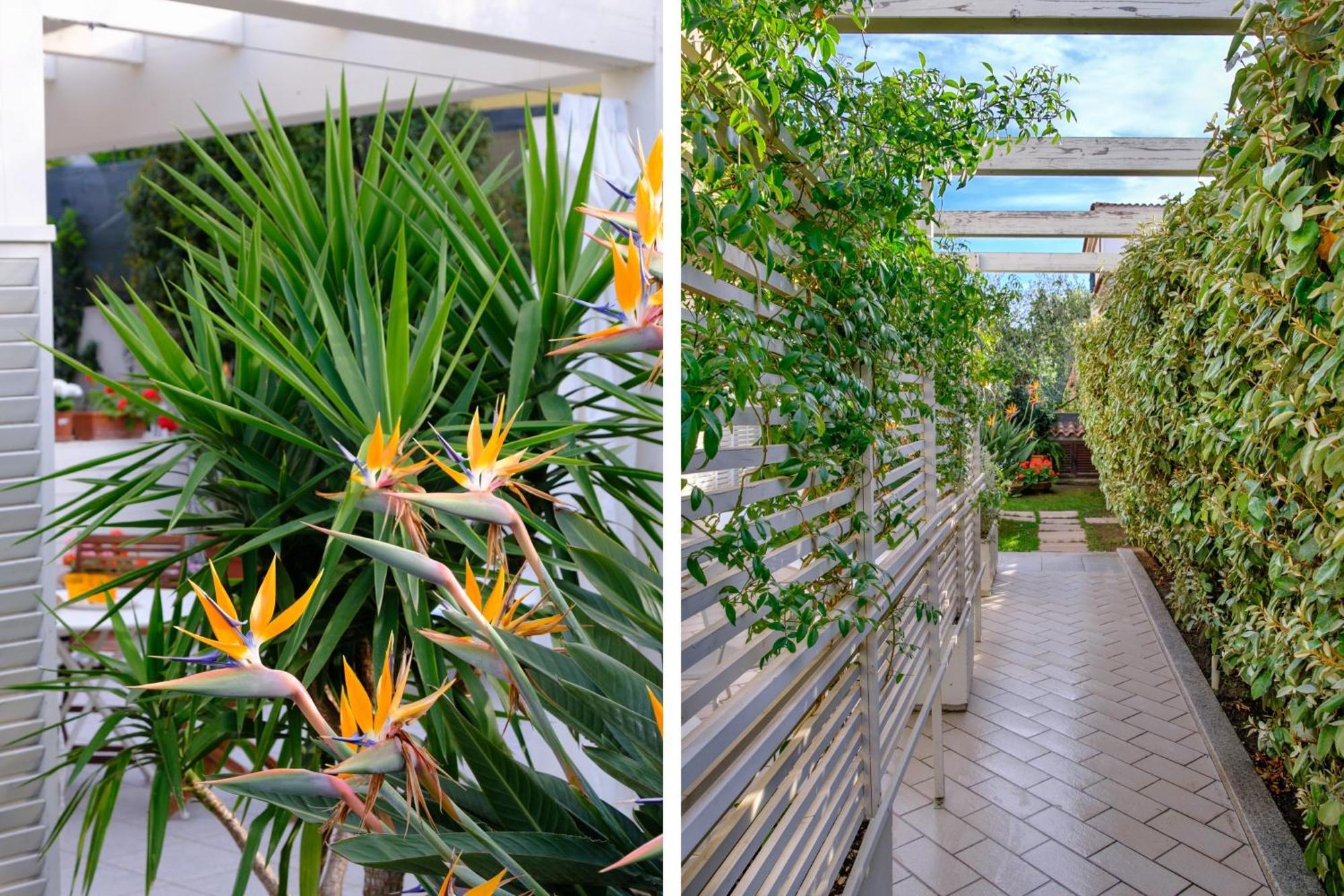 Orosei Home Holidays - Rimediu מראה חיצוני תמונה
